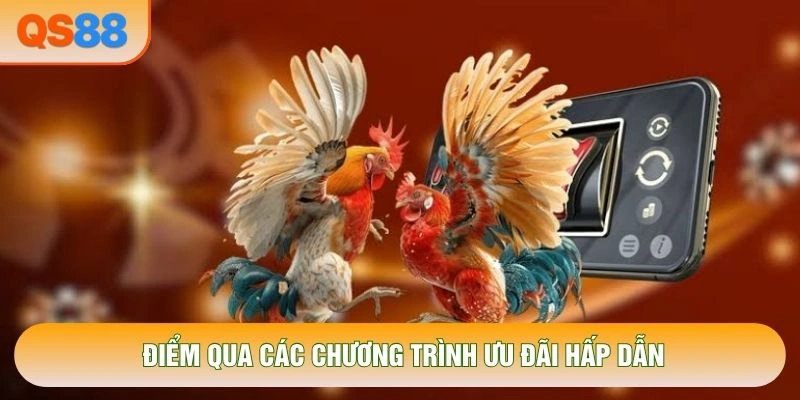 Điểm qua các chương trình ưu đãi hấp dẫn