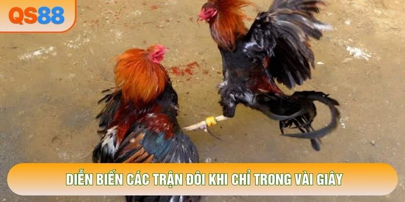 Diễn biến các trận đôi khi chỉ trong vài giây