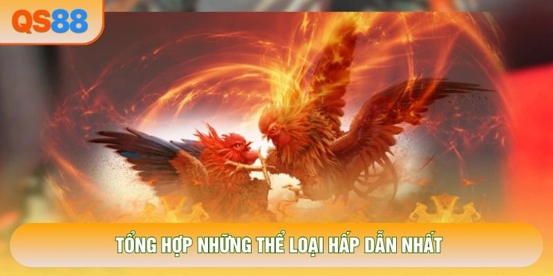 Tổng hợp những thể loại hấp dẫn nhất