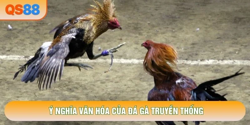 Ý nghĩa văn hóa của đá gà truyền thống